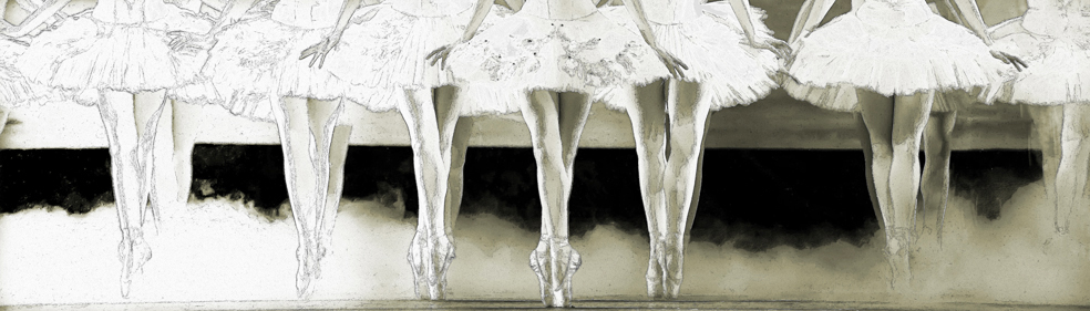 AS242 Wall décor art photographic on canvas figures ballerina legs black & white